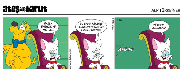 Ateş ile Barut