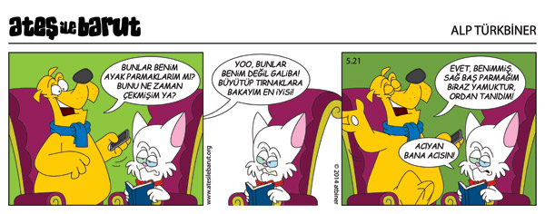 Ateş ve Barut
