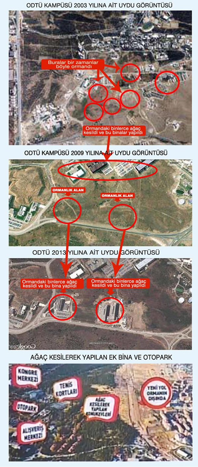 ODTÜ'nün ağaç katliamı mahkemelik oldu