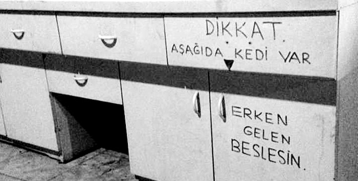 Futbol terörünün suçlusu kim?