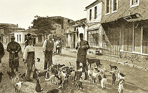 Eskiler sokak hayvanlarını bile düşünürdü