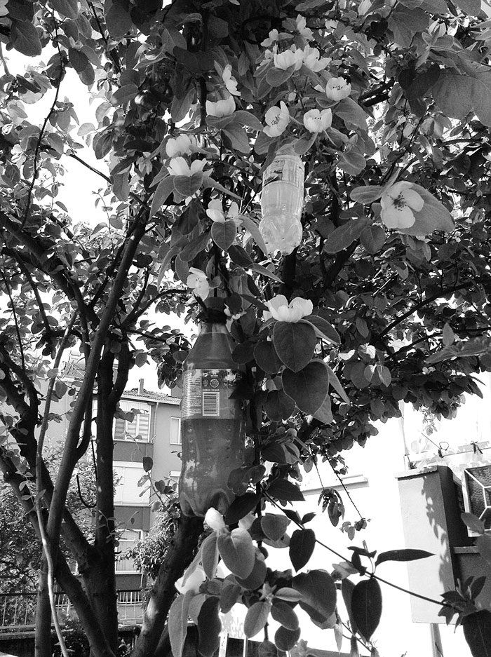 Kadınlarda alışveriş mantığı!