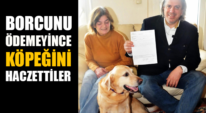 Bir günde iki köpek haczedildi