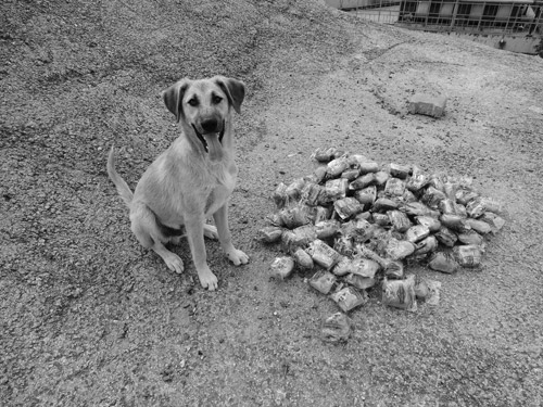 İstanbul için israf vakti!