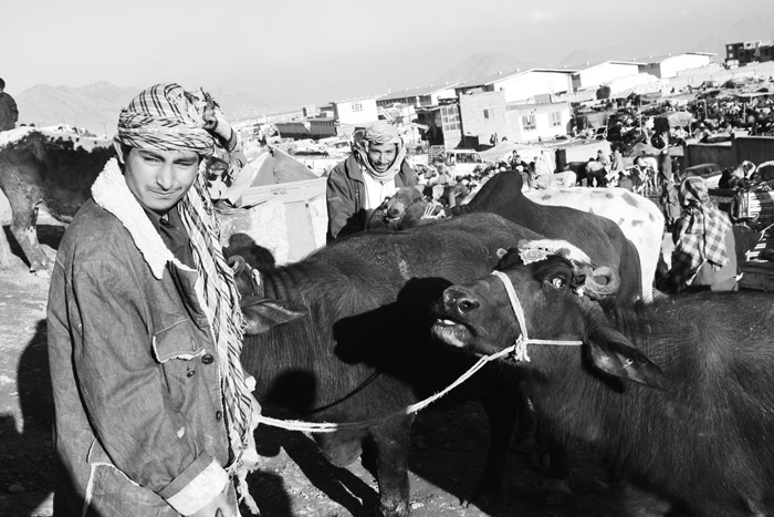 KURBANA DAİR BİLİNEN BİLİNMEYEN HER ŞEY...