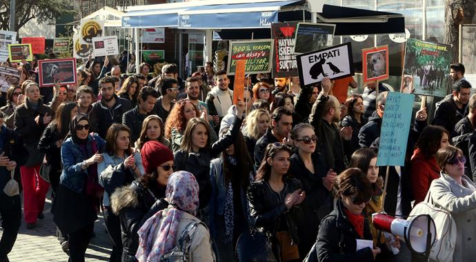 Kedi katliamı tüm yurtta protesto edildi