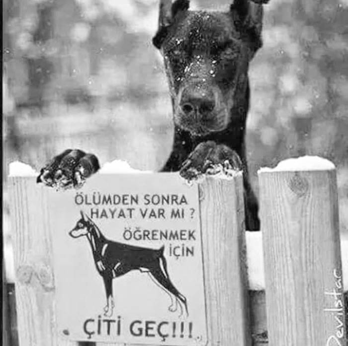 Doğalgaz faciası!