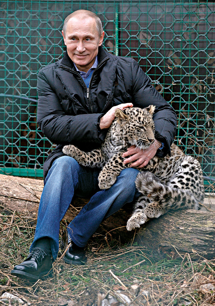 Cesur yürek Putin, Leoparı kedi gibi sevdi