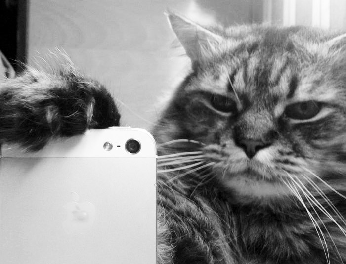 BİZİ BU MEVSİM MAHVETTİ; YALANCI BAHAR!