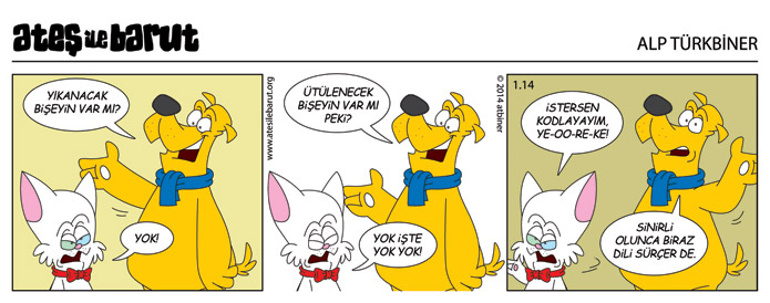 Ateş ile Barut