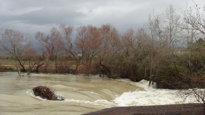 Manavgat ırmağı taştı, işyerlerini su bastı