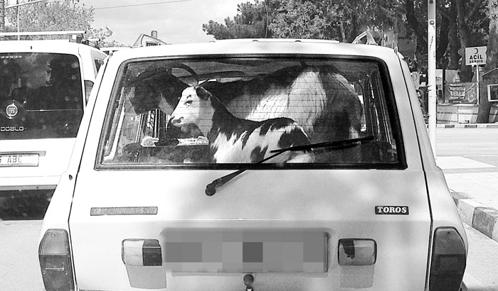 DOKTOR RAPORU: PSİKOLOJİK BOZUKLUK;