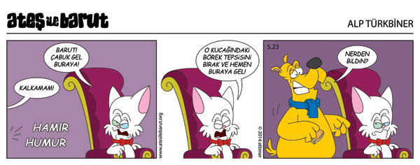 Ateş ve Barut