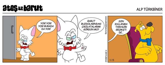 Ateş ile Barut