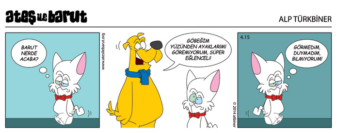 Ateş ve Barut