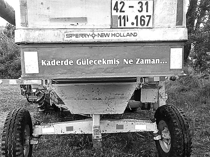 Erkekliğin faydaları...