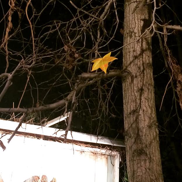 7 Şubat''ın sene-i devriyesinde Vaka-i Hayriye ve kişisel bir hikâye