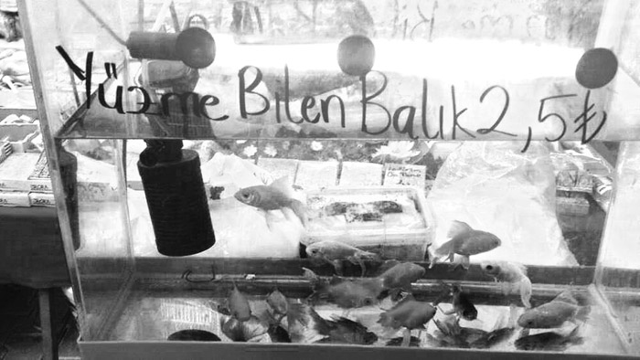 M.Ali Alabora'ya takipsizlik kararı verilmesi doğru mu?