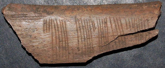 900 yıllık Viking sırrı çözüldü