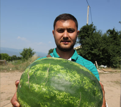 Makedonya'nın meyve deposu