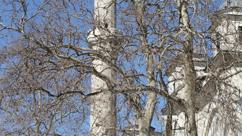 Taş devrine dönelim!