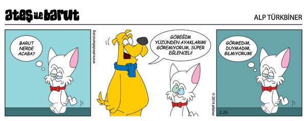 Ateş ve Barut