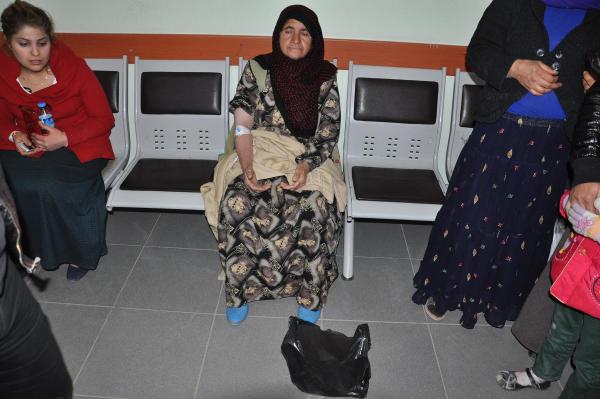 Kendisini sokan yılanla hastaneye gitti