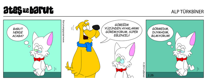 Ateş ile Barut