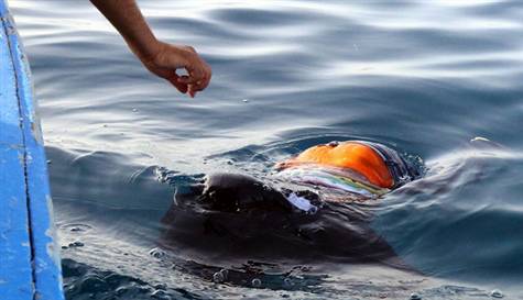 Akdeniz'de kaçak göçmen faciası: 20 ölü, 150 kayıp