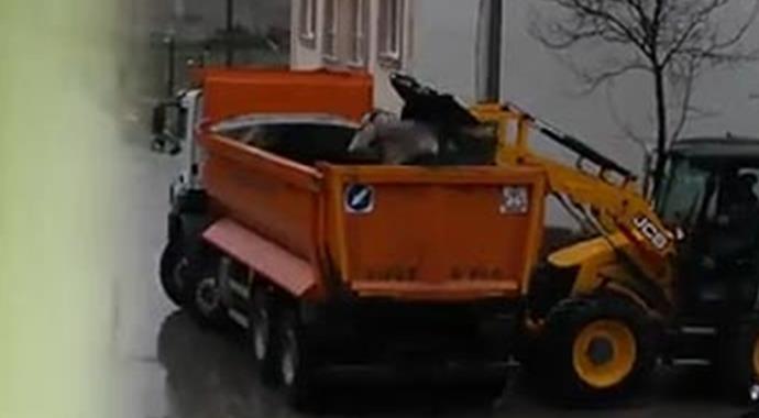 At, kepçeyle kamyona böyle atıldı