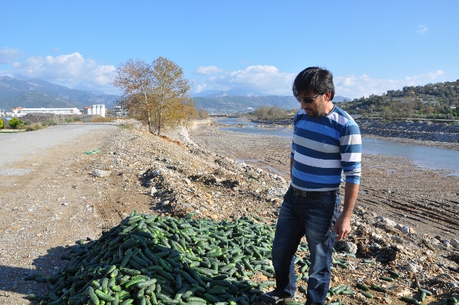 'İçim sızlıyor' dedi, 1 ton salatalığı çöpe döktü