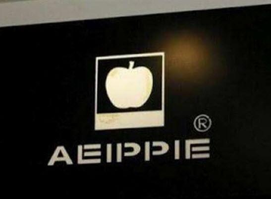 Çinliler en sonunda bunu da yaptı