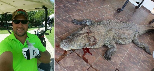 Timsah golfçüyü yedi