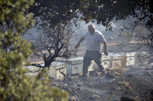 Bodrum'da yangın, alevlerin arasına daldı!