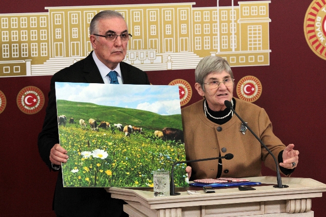 Canan Karatay, mecliste vekilleri fırçaladı