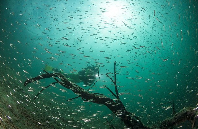 Karlar eridi, park su altında kaldı