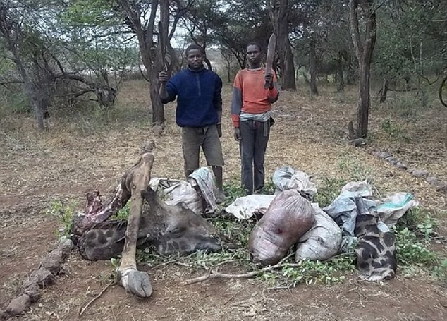 Herşey 47 dolar için