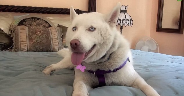 İnanılmaz değişim