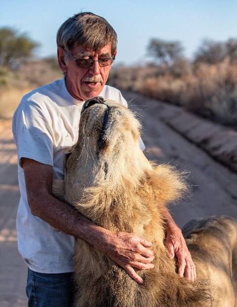 En yakın dostu bir aslan