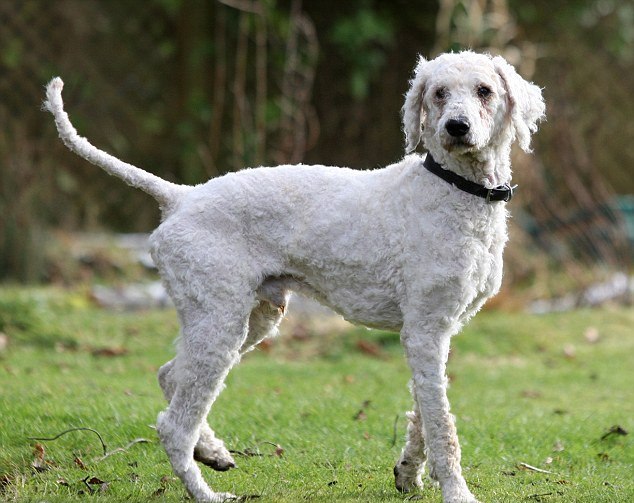 2 haftada büyük bir değişim geçirdi