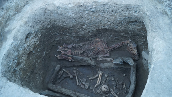 TİKA, Ergenekon'a dair ipuçları buldu