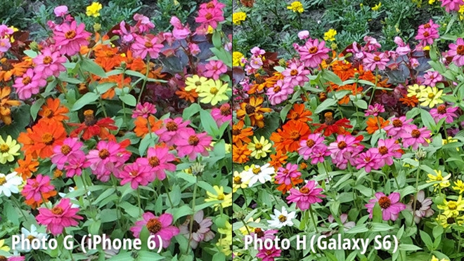 iPhone 6 ile Galaxy S6 kamera karşılaştırma