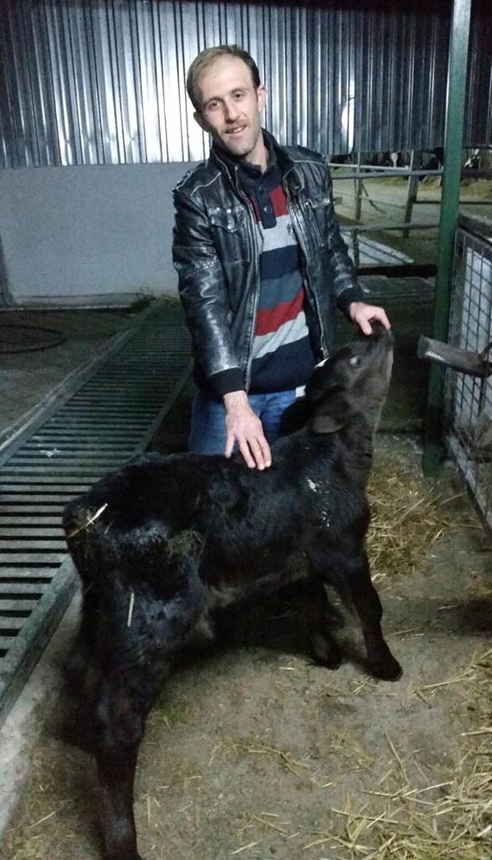 Bu buzağıyı görenler hayrete düşüyor
