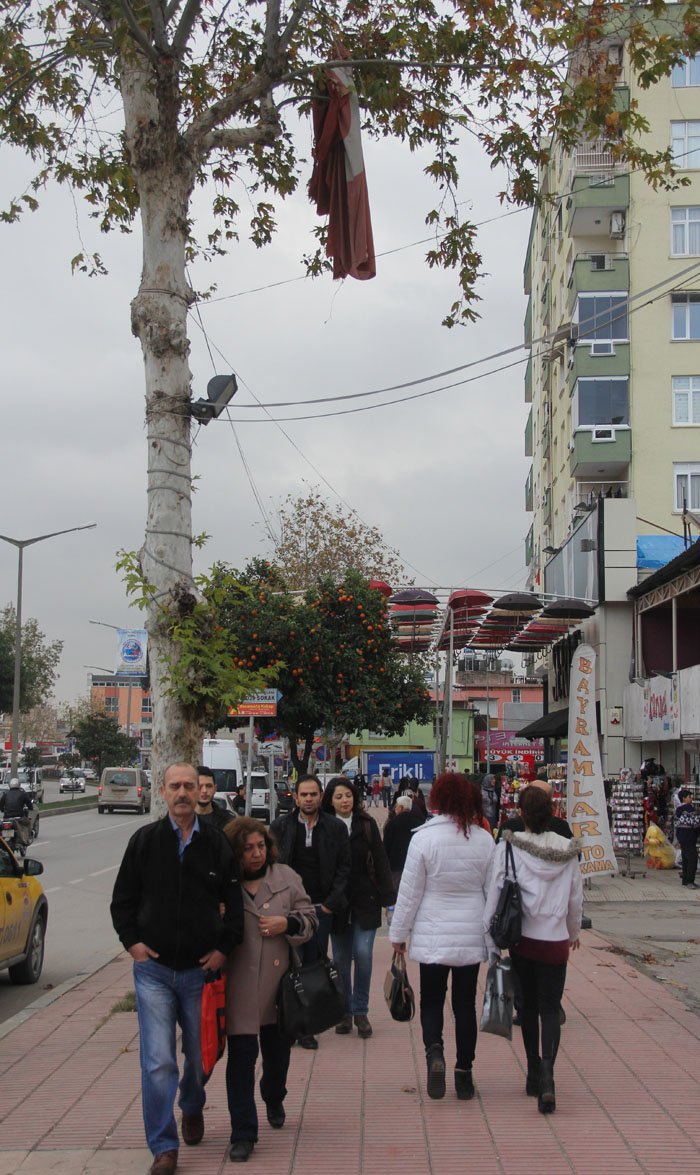 Ağaçtaki Türk bayrağına kimse sahip çıkmadı