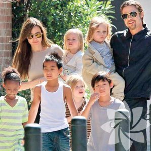 Angelina Jolie'den flaş karar! Artık anne olamayacak
