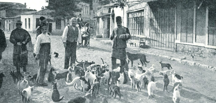Bir  gözyaşı dağı: Uhud
