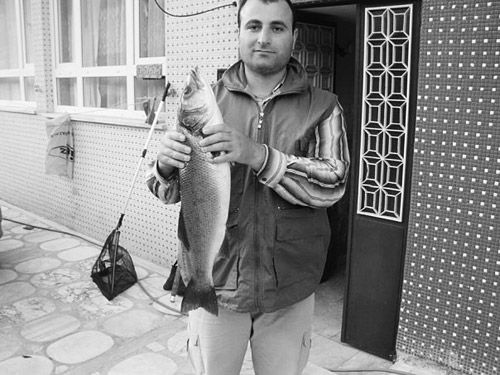 Taşı toprağı balık!