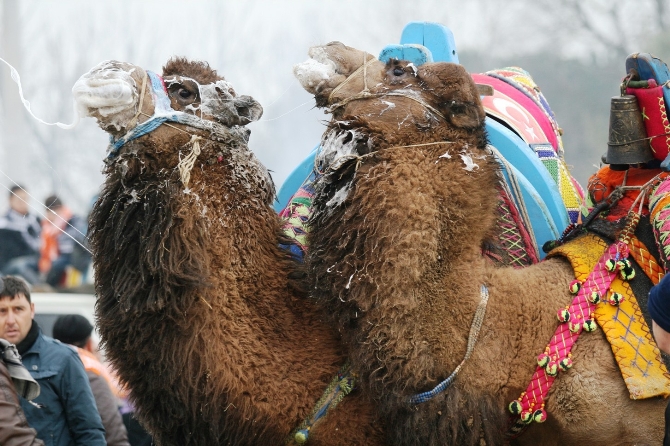 Demba Ba Arena'da boy gösterdi