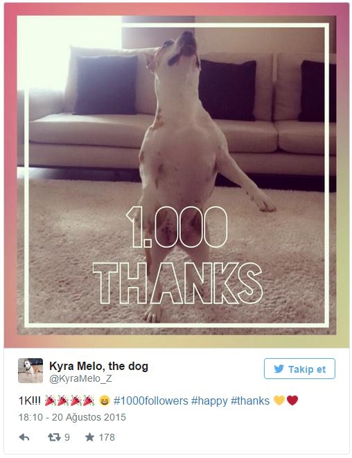 Melo bunu da yaptı! İşte son bombası