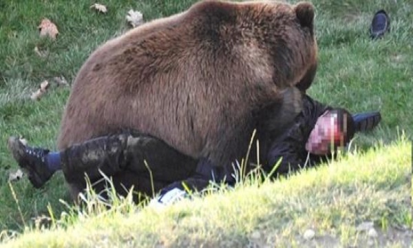 Hayvanat bahçesinde dehşet veren olay!